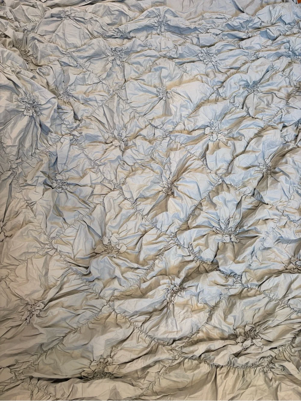 Pier One Rosette Duvet Cover Queen Sage Green Bedding Romantic Decor